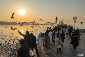 元旦假期，青岛历史城区欢乐多图片