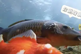 济南官方发布！10个小众打卡地，快快收藏→图片