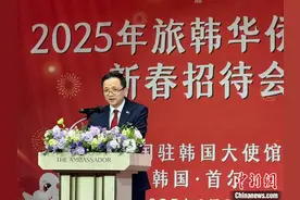 中国驻韩国大使馆举办2025年旅韩华侨华人新春招待会图片