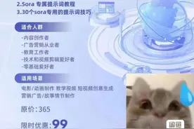 Sora付费课程爆火背后：99.9元买个“普通人的赚钱机会”？｜科技观察图片