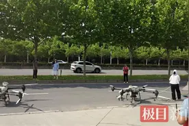 高效！武汉借力无人机为树木喷“预防药”图片