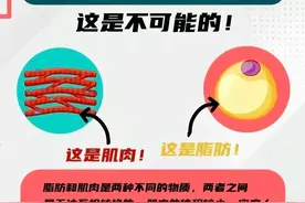 肌肉与脂肪，能否实现神秘转化？| 贤医健康说图片