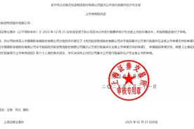 风口IPO｜母公司南方航空财务指标“拖后腿”，南航物流IPO折戟图片