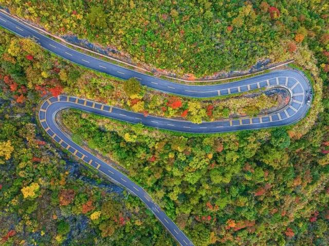 上饶绝美“枫景”加载完毕，前往石城锁定你的赏枫C位！