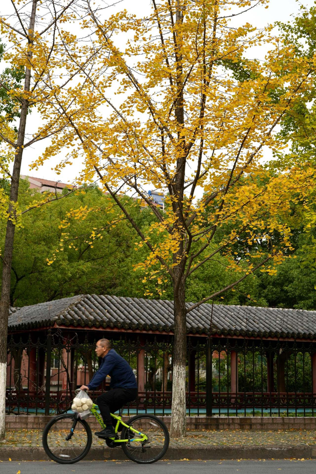 美翻了~这个秋假，来南湖吧！