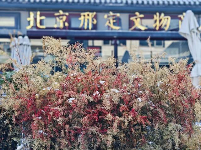 漫步北京街，尽享雪后闲适时光