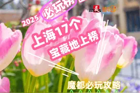 魔都必玩攻略丨2025 “必玩榜”出炉，上海17个宝藏地上榜图片