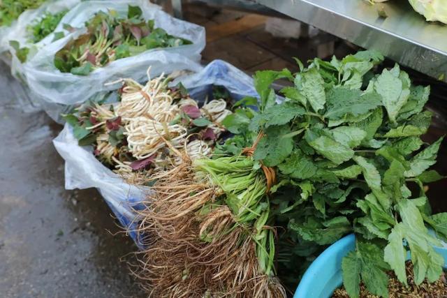 罗平“春味”正鲜，错过再等一年