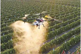 前5月广州无人机出口量比增252%图片