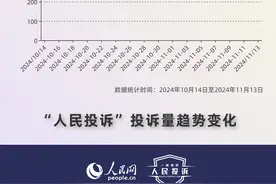 人民网“人民投诉”平台发布“双11”消费维权数据报告图片