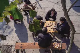 彭承忠丨和背笼下棋的人图片