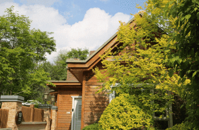 听劝！冬天来长春，就要这么玩！