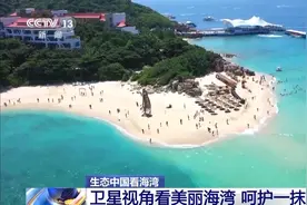 海湾“变美”关键在哪？看中国方案呵护一抹蔚蓝图片