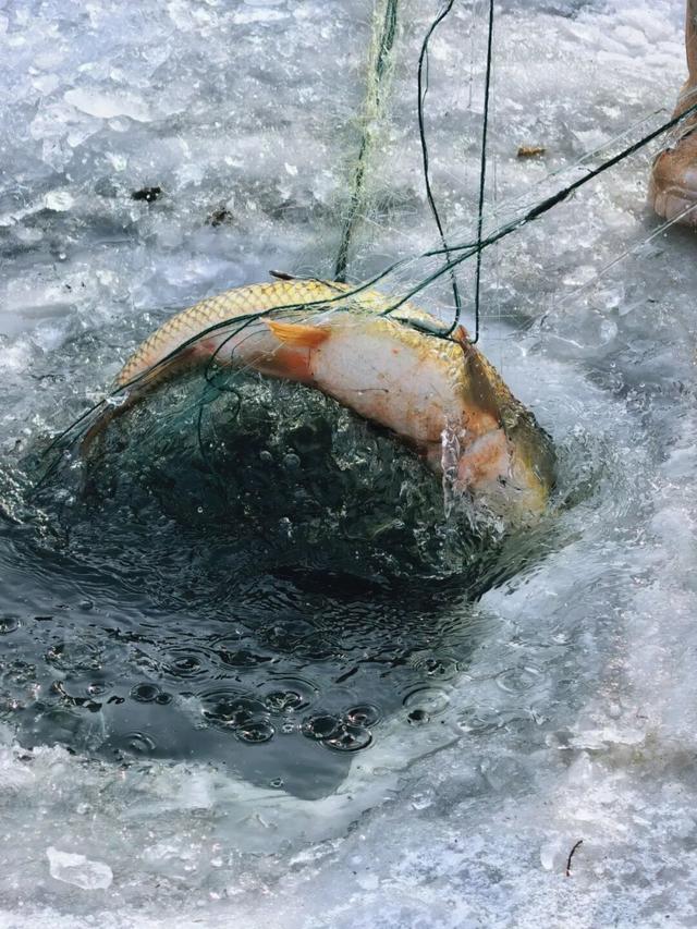 今年的玩法竟然这么多！是时候来呼和浩特过大年了