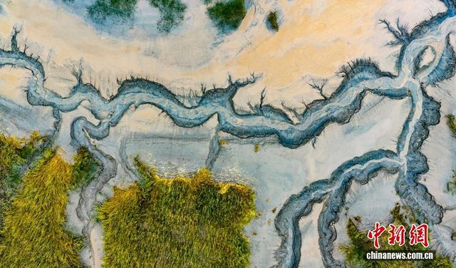 钱塘江滩壮美“潮汐树”景观 宛如水墨画