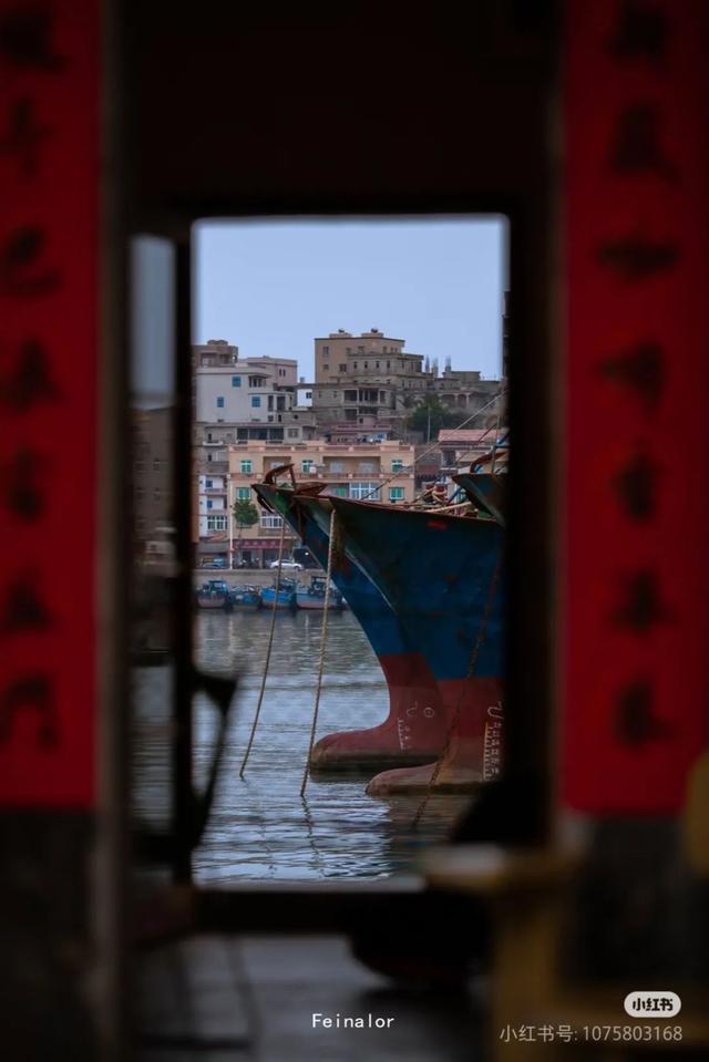 打卡《浪浪人生》同款！石狮这座宝藏小城，藏着比电影更治愈的江湖