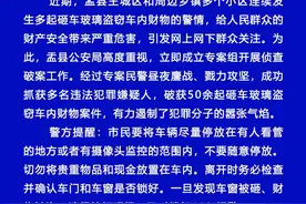 连续发生多起砸车玻璃盗窃财物警情，山西阳泉盂县警方：抓获多名违法犯罪嫌疑人图片