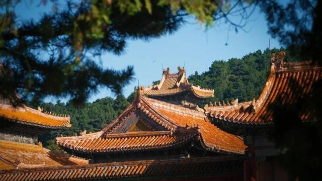 清东陵景区专属优惠门票！