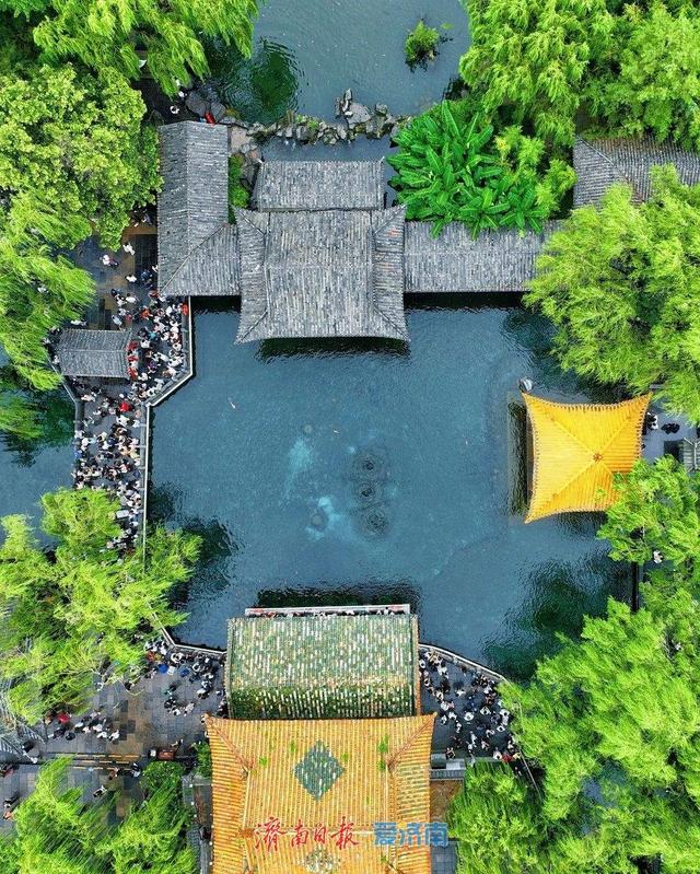 一年四季 泉在济南丨趵突泉雨后撒欢 漫步其中感受别样浪漫