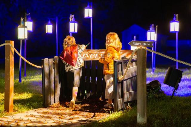 直降70元！龙华这片魔法森林焕新升级