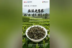 2025鲁渝协作促消费·重庆茗茶专场展销会 | 杯中的巴渝烟火气：一盏老鹰茶，品读重庆的市井江湖图片