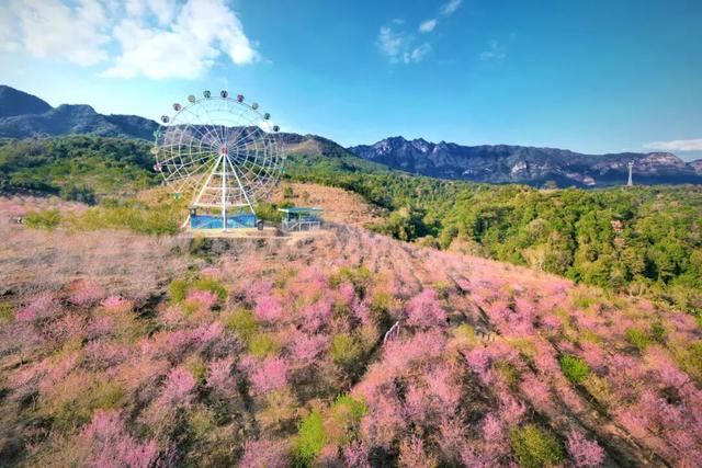 11月的清远将有大动作！