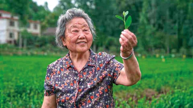 一人·一事·一生——三位西部外乡人的青春记忆