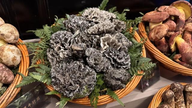 飞昆明吃几顿饭