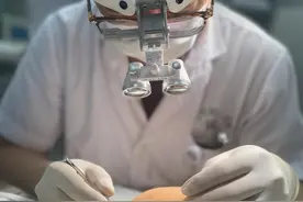 医生提醒：市民夏季野外游玩需警惕蜱虫叮咬图片