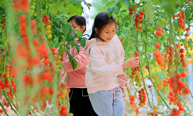 赏花撸萌宠、水果采摘、围炉煮茶……来珠海这里跨年，太精彩！