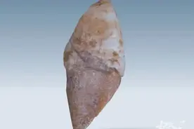 女子在杭州山上敲敲打打，竟有了惊人发现，现场所有人都在欢呼图片