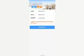 周知！宠物猫狗能坐高铁了图片