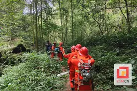宣传有我 巡山有我 荣县退役军人志愿服务队积极投身森林防火工作图片