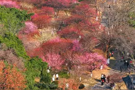 局部-8℃！温州降温、大风、雨夹雪即将上线图片