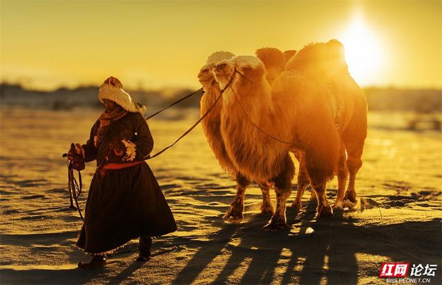 跟着网友游内蒙古丨雪线之上，生活如歌