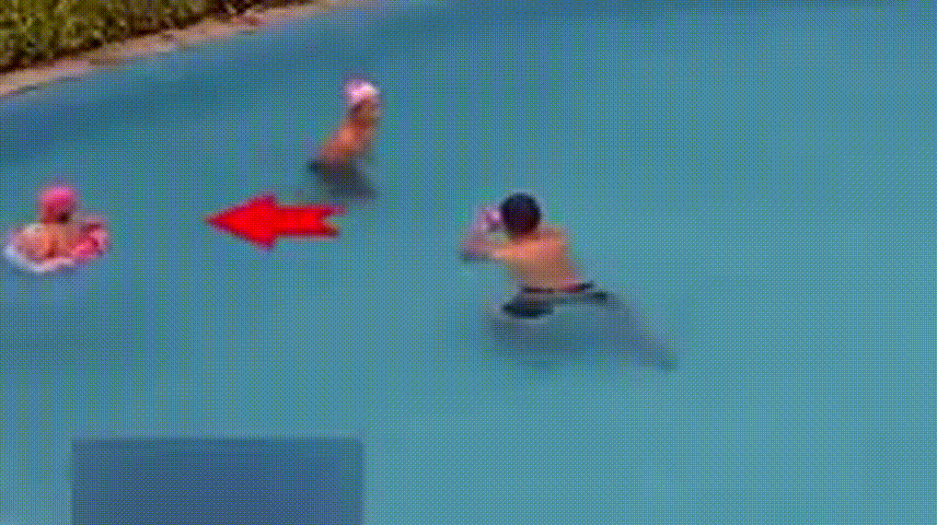 这个“圈”，您真的了解吗？图片