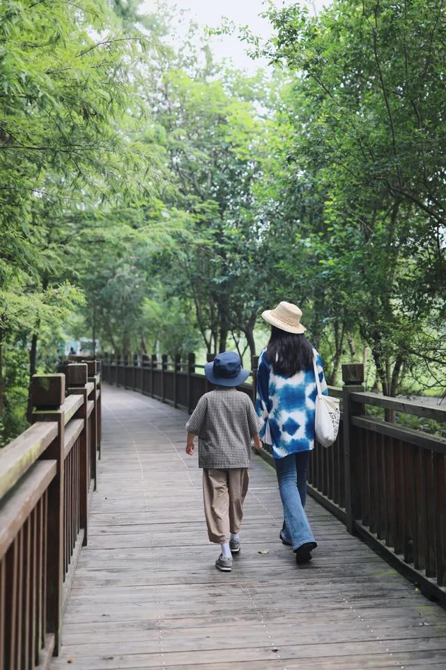 百万粉丝达人点赞：泰州泰美 泰想你来