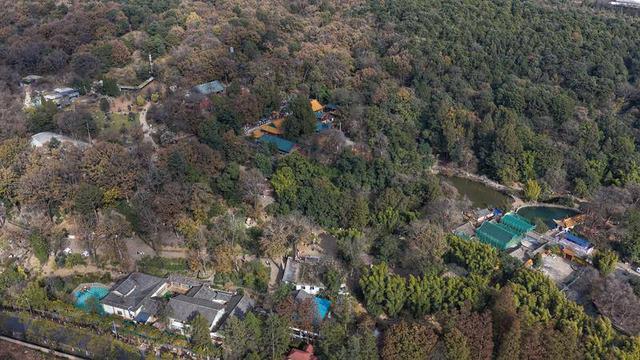 暖阳与梅香 映照昆明冬日旅居新图景