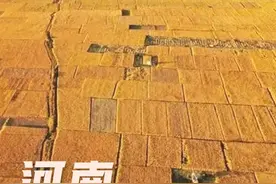 河南：粮食产量连续7年稳定在1300亿斤以上图片