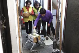 想买只机器狗陪老妈买菜，我们距离这一步还有多远图片