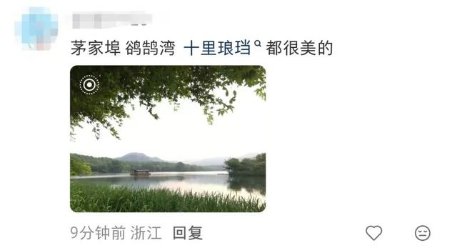 知名男星发视频狂推杭州“小众景点”！网友直呼：这里特别美！