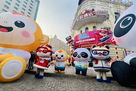 “大运世运之城”携手“双亚冬之城”，蜀宝、锦仔在哈尔滨遇到了好朋友！图片