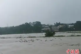 广西防城港遭遇强降雨 村庄内涝民居被浸泡图片