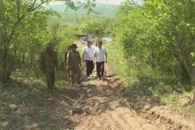 【视频新闻】珲春：东北虎捕杀43只羊 3户村民获赔野生动物损害补偿图片