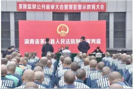 湖南省茶陵监狱举行公审大会暨警示教育大会图片