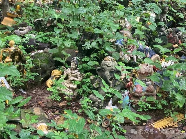 在泰国，不按喇叭