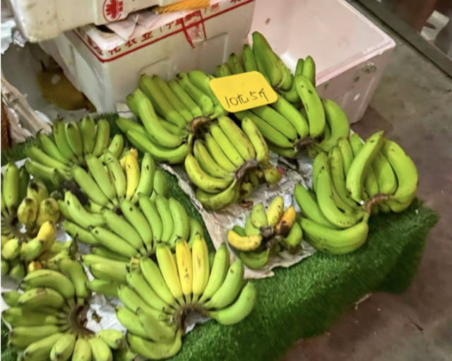 三亚县城，新晋「穷鬼度假」天堂？