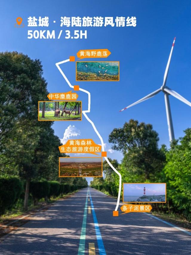 世界骑行日｜“轮”转秋天的N条路线