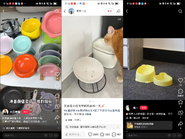 普通人电商创业实战复盘，宠物品类从0到月销150单全流程操作详解