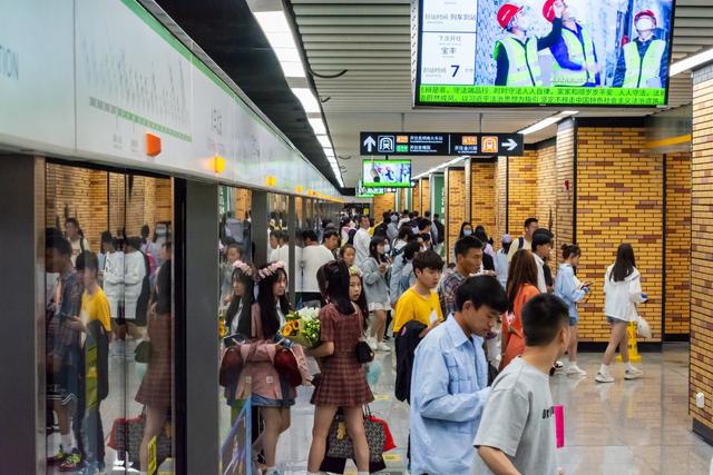 护航观鸥季⑤丨暖心“鸥”遇！就在这场人鸥同乐的双向奔赴里……